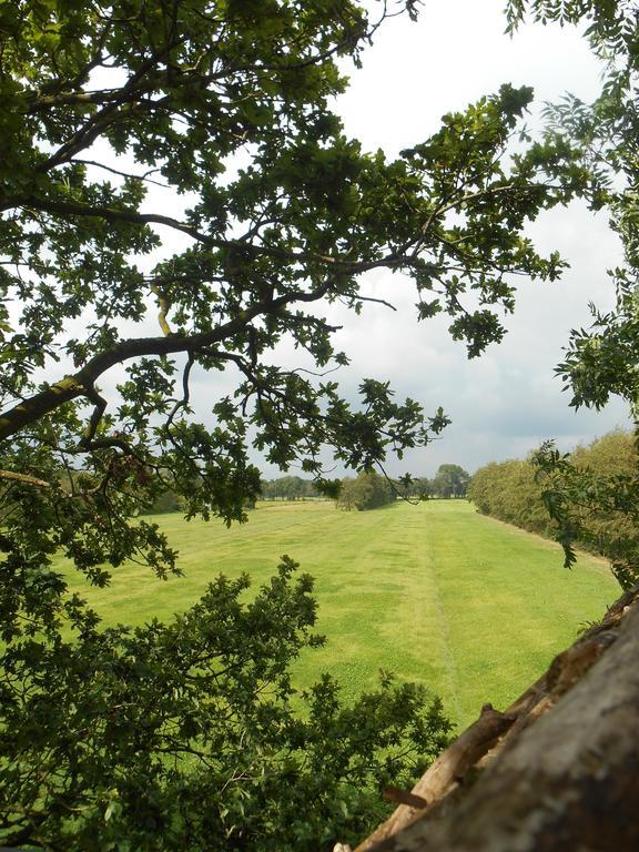 Bij En Boom Bed & Breakfast Drachten Dış mekan fotoğraf