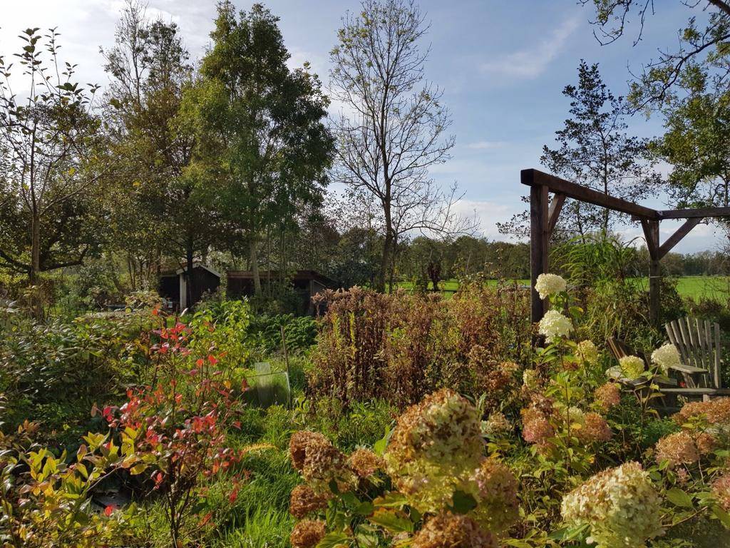 Bij En Boom Bed & Breakfast Drachten Dış mekan fotoğraf